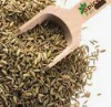 SPICE FENNEL SEED WHOLE (2028) 5KG PURESPICE