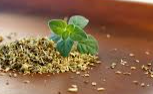 SPICE OREGANO GROUND (2266) KG