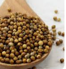 SPICE CORIANDER WHOLE (2020)5 KG