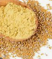 SPICE MUSTARD GROUND (2251) KG