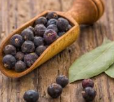 SPICE JUNIPER BERRIES WHOLE (2039) 5KG PKG